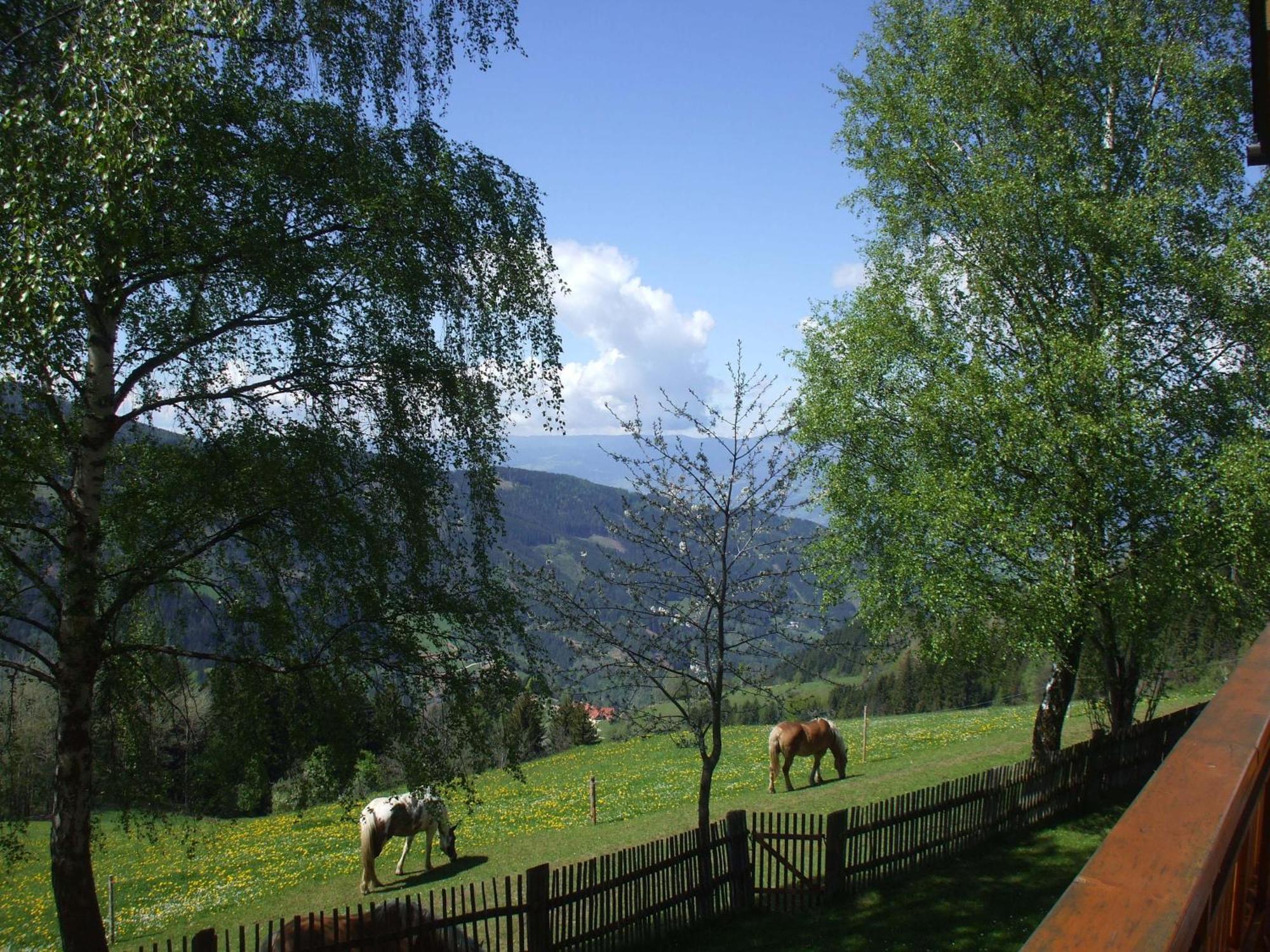 Bauernhof Pension Juri Obergosel Exterior photo